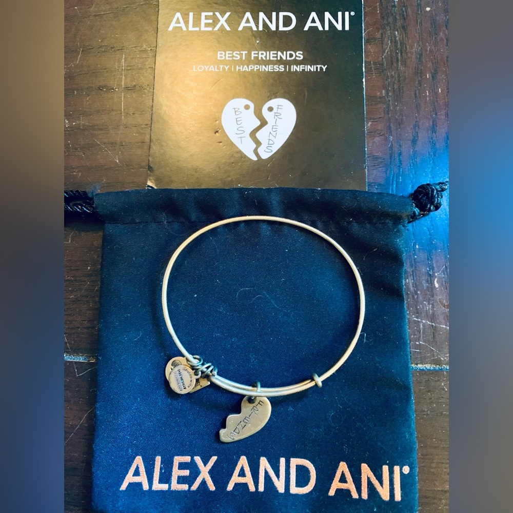 Alex & Ani- Best Friends (only includes the “friends” bracelet)
